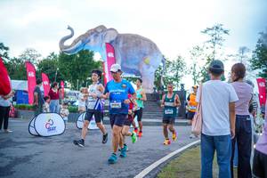 BIB: 
                            <button type="button" onclick="openModal(26551644)" class="btn btn-primary btn-sm float-right btn-popup" data-toggle="modal" data-target=".modal-high-quality">
                        <i class="fas fa-shopping-cart"></i> Add to Cart
                    </button>
                                            <button type="button" onclick="isThisMe(26551644, true)" class="btn btn-success btn-sm float-right btn-popup btn-isme hidden" data-toggle="tooltip" data-placement="bottom" title="นี่คือรูปของคุณใช่ไหม คลิกที่นี่เพื่อเอาเข้าอัลบั้ม">
                        <i class="fas fa-plus"></i> Add to album
                    </button>
                    <button type="button" onclick="isThisMe(26551644, false)" class="btn btn-warning btn-sm float-right btn-popup btn-isnotme hidden">
                        <i class="fas fa-ban"></i> Remove from album
                    </button>